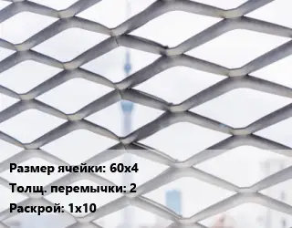 Сетка ЦПВС 60х4 2 Раскрой: 1х10